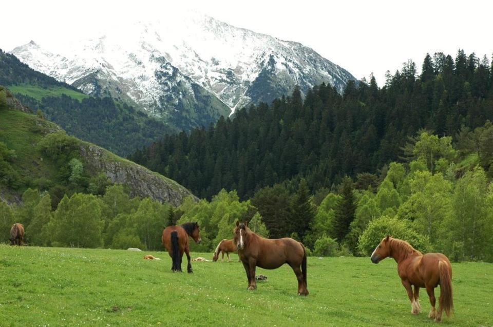 فندق Pensio La Creu إيستيري دانو المظهر الخارجي الصورة